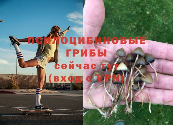 ALPHA PVP Алексин