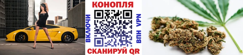 Канабис конопля  Узловая 